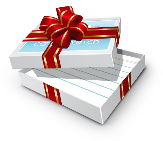 card2brain und PostFinance erfüllen Weihnachtswünsche